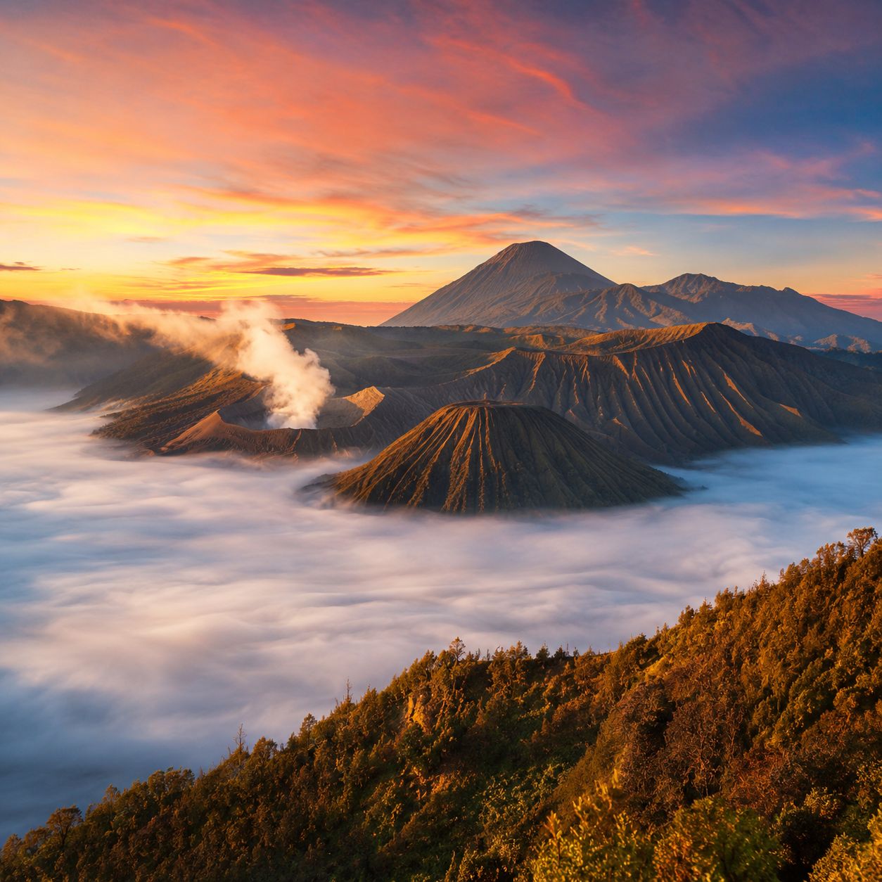 Paket wisata Bromo Z-Traveling